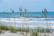 Beach;Coast;Florida;Ocean;Sand;Sea;Sea-Oats;Seascape;Shore;Shoreline;Tropical;Un